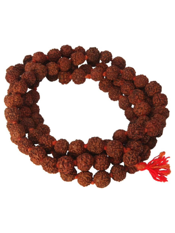 Rudraksh Mala 9 mm 108 Perlen